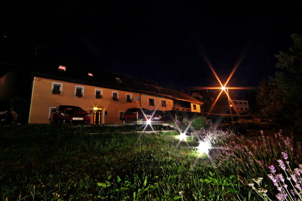 The house
