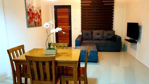 Stylish 2 BR 1 Bath Apt. Central location with AC