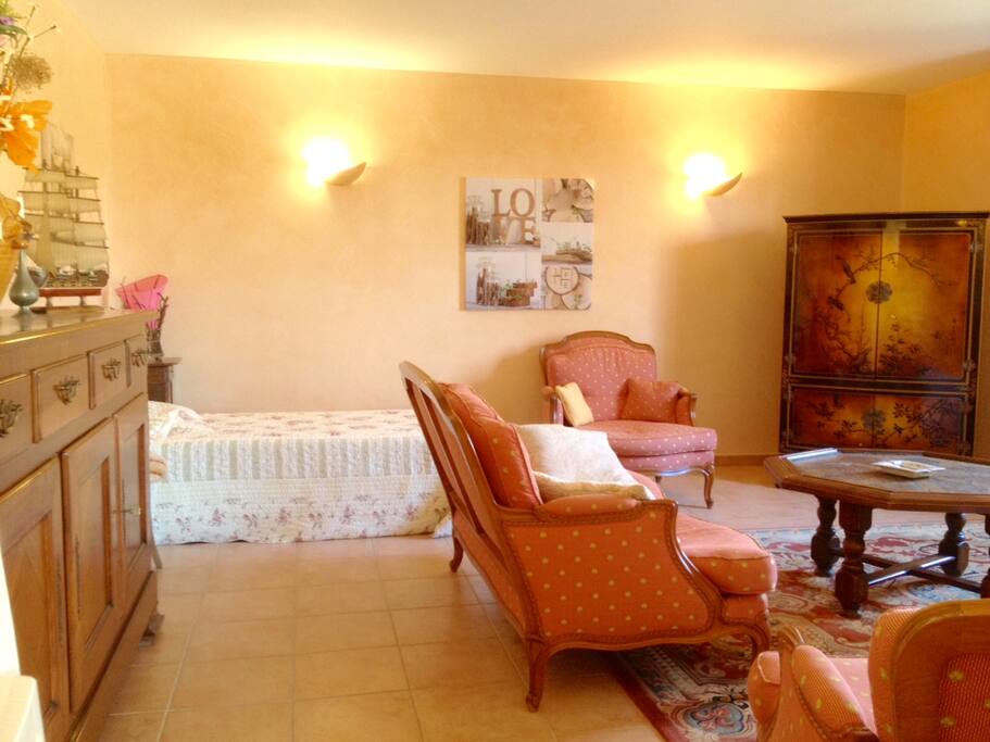 Salon gîte figuier