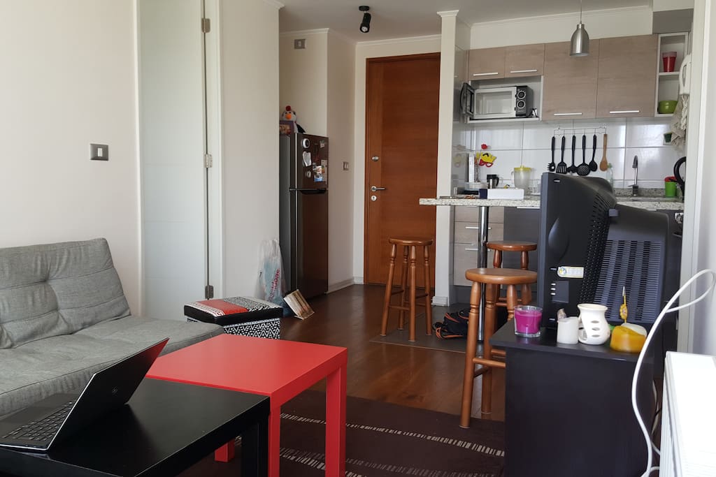 Living con cocina americana al fondo