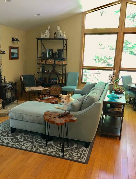 Living room with the white dog!