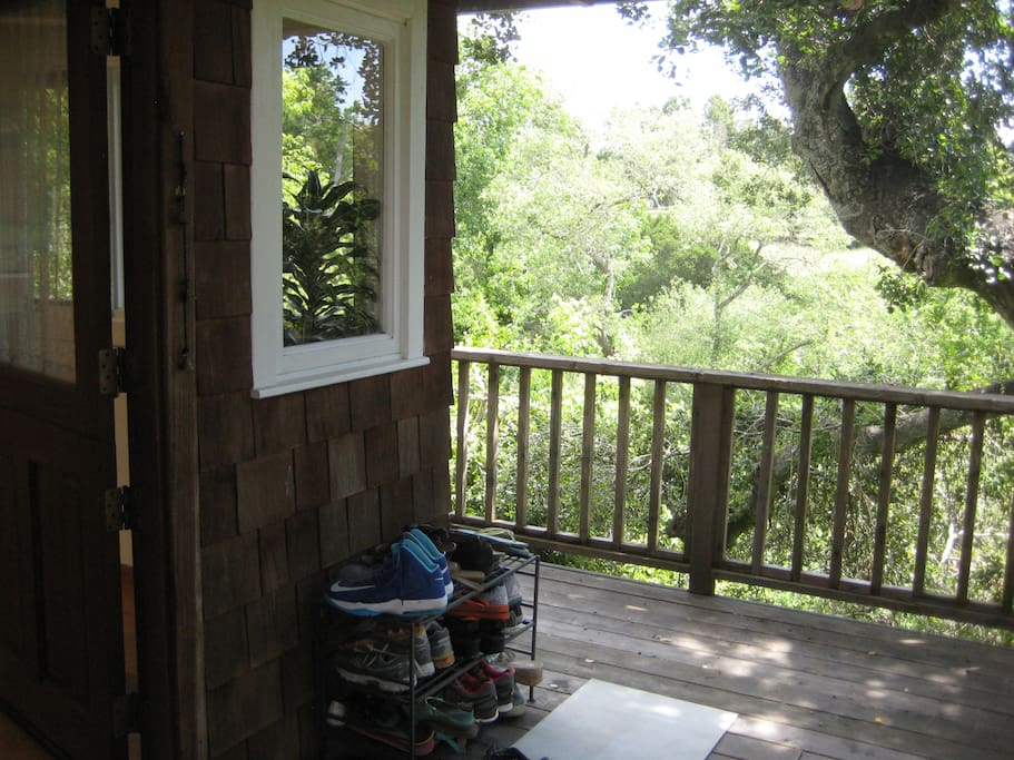 Front door to house. Dutch door, top half opens inward.