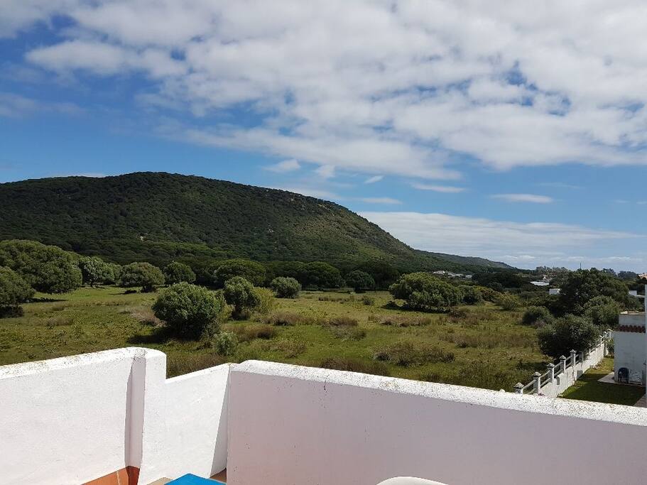 Vistas trasera casa