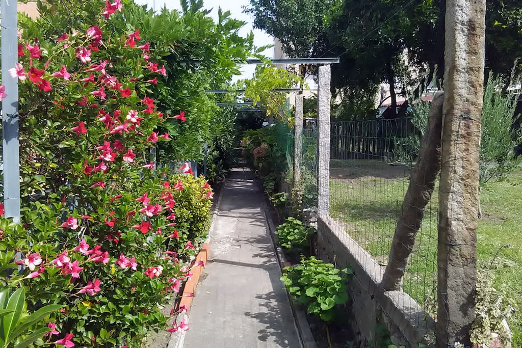 Romantic path in the garden.