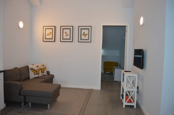 Apartamentos Almeida Garrett - 3d  908/al - Ponta Delgada