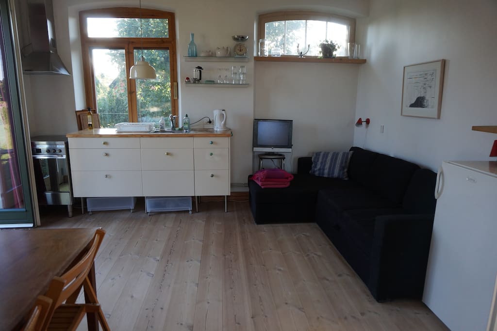 Kitchen-dining area/living room.