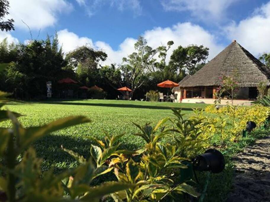 JARDÍN