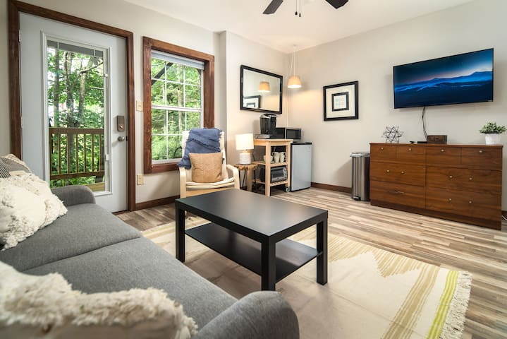 Cozy In-town Boone Suite