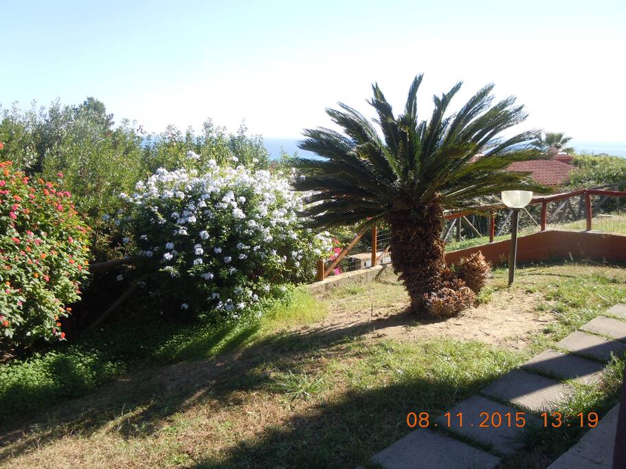 Il giardino di casa