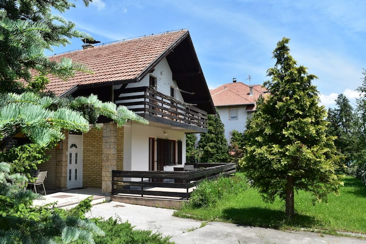 Vila Tejic - Zlatibor