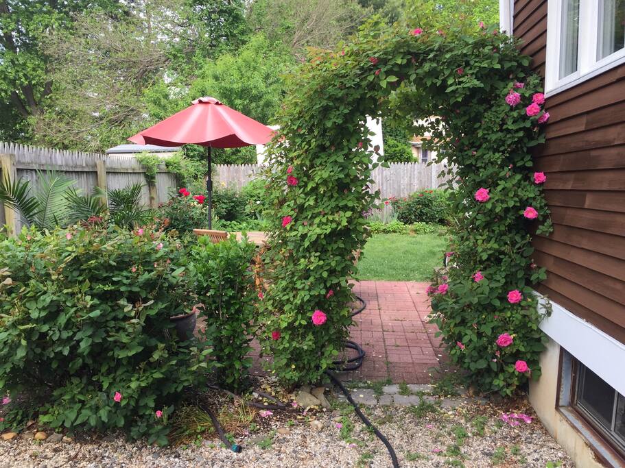 Relax in the garden when you're not at the beach!