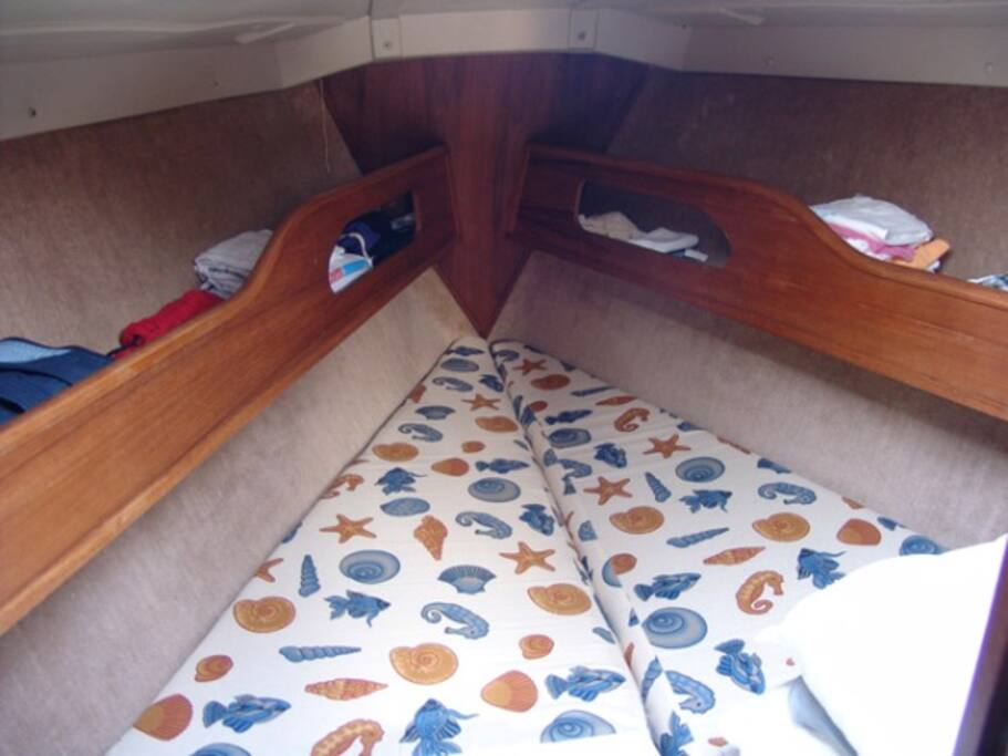 Cabine da proa /