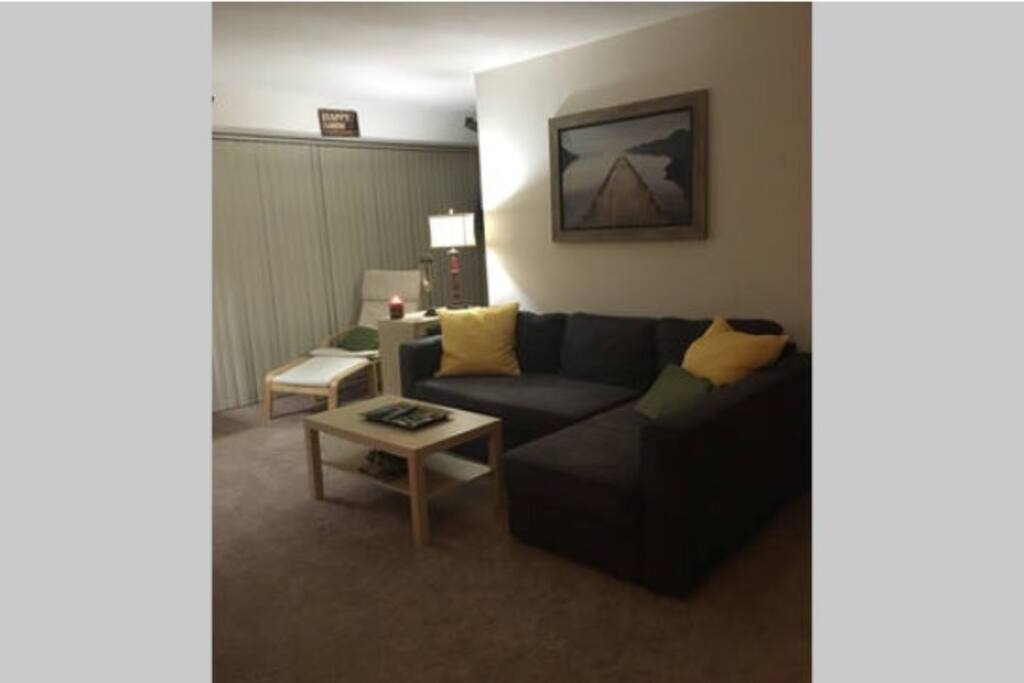 Shared LVG room w/pull out bed.