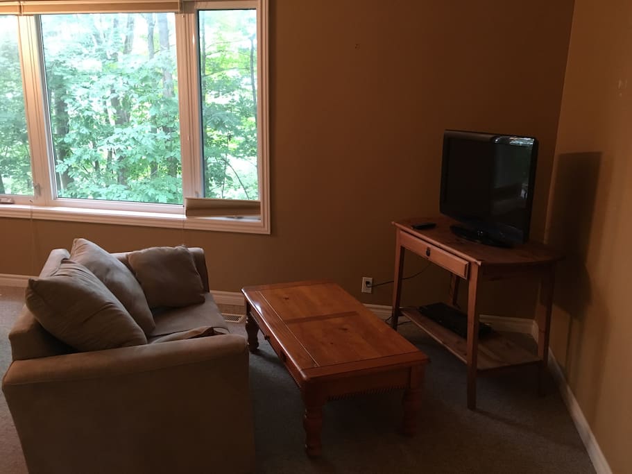 TV and sitting area in bedroom
