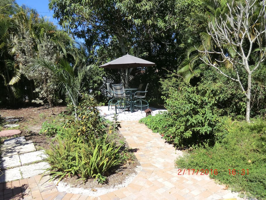 Back yard