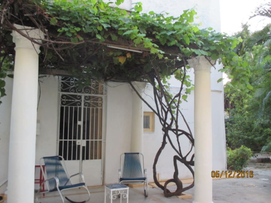 Terrace / Terraza