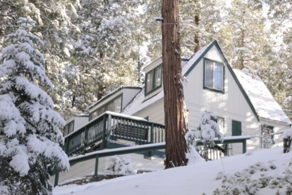 Cabin in the snow!