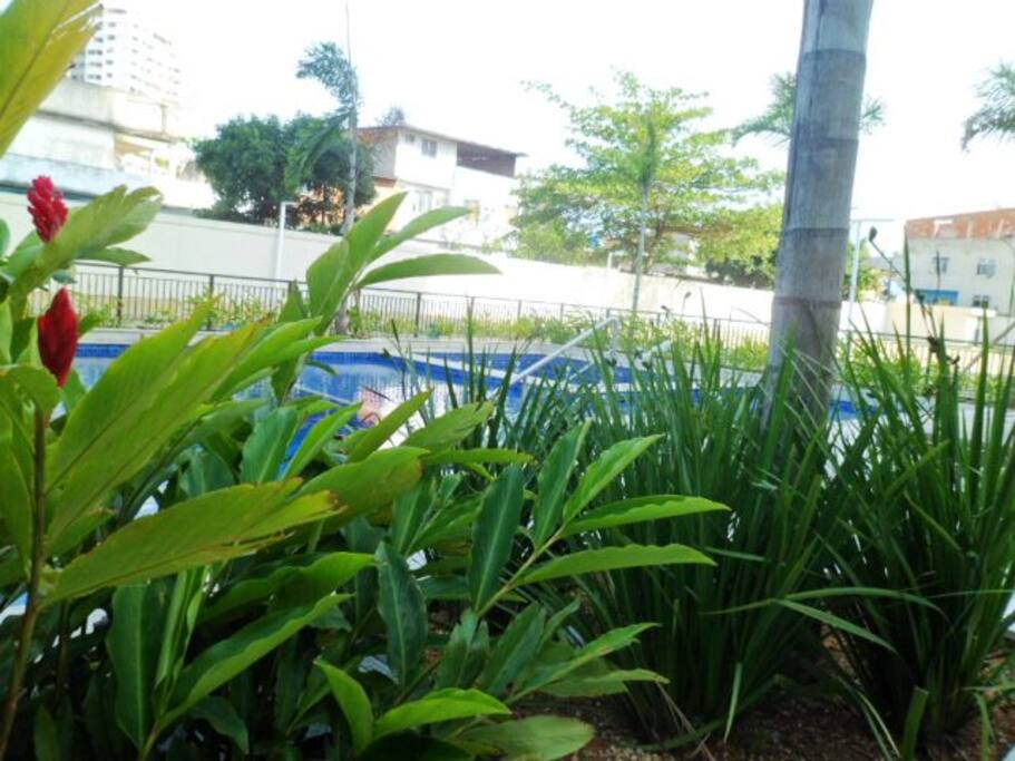 jardim da piscina