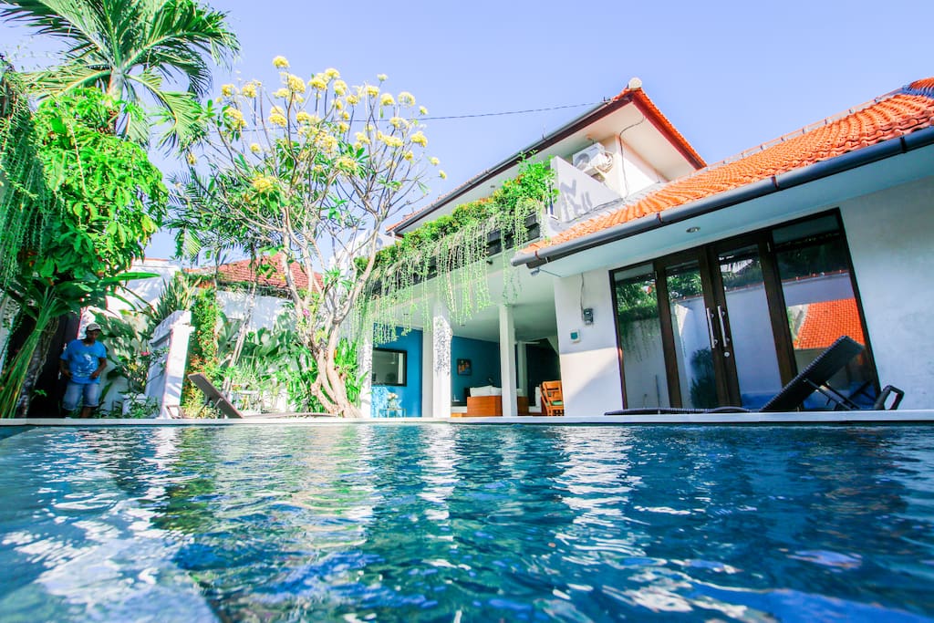 Swimming pool surrounded by tropical trees and plants. Jump to the swimming pool from your bed :)
