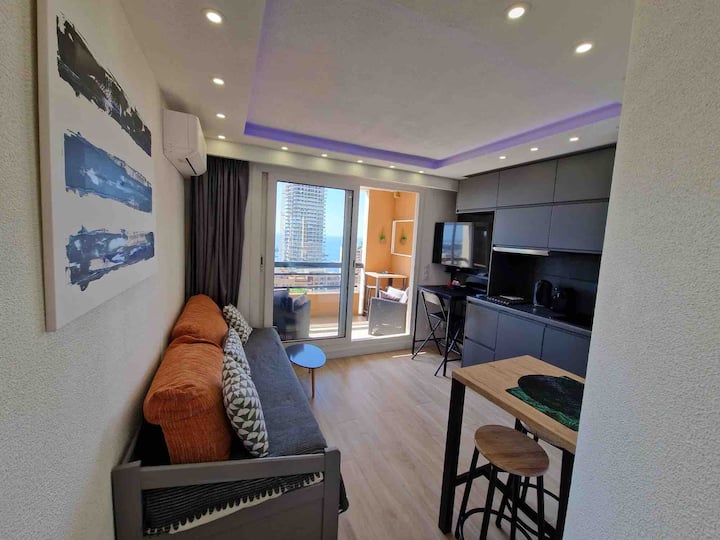 Studio Piscine Et Parking Frontière Monaco - Beausoleil