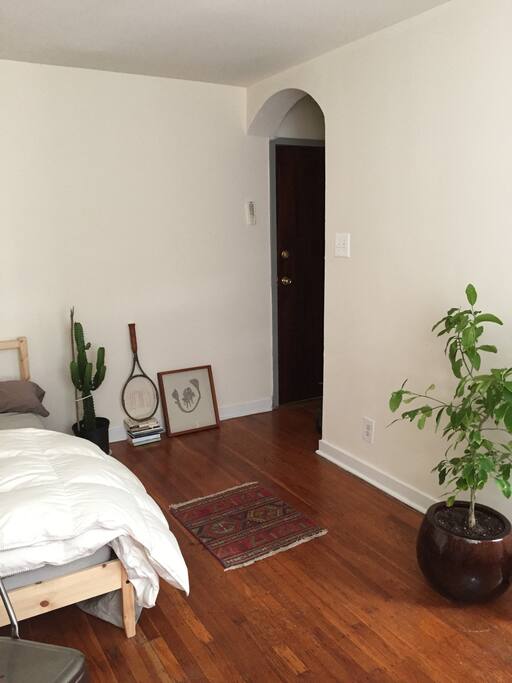 You'll be sharing a home with a few desert plants (cactus and citrus).