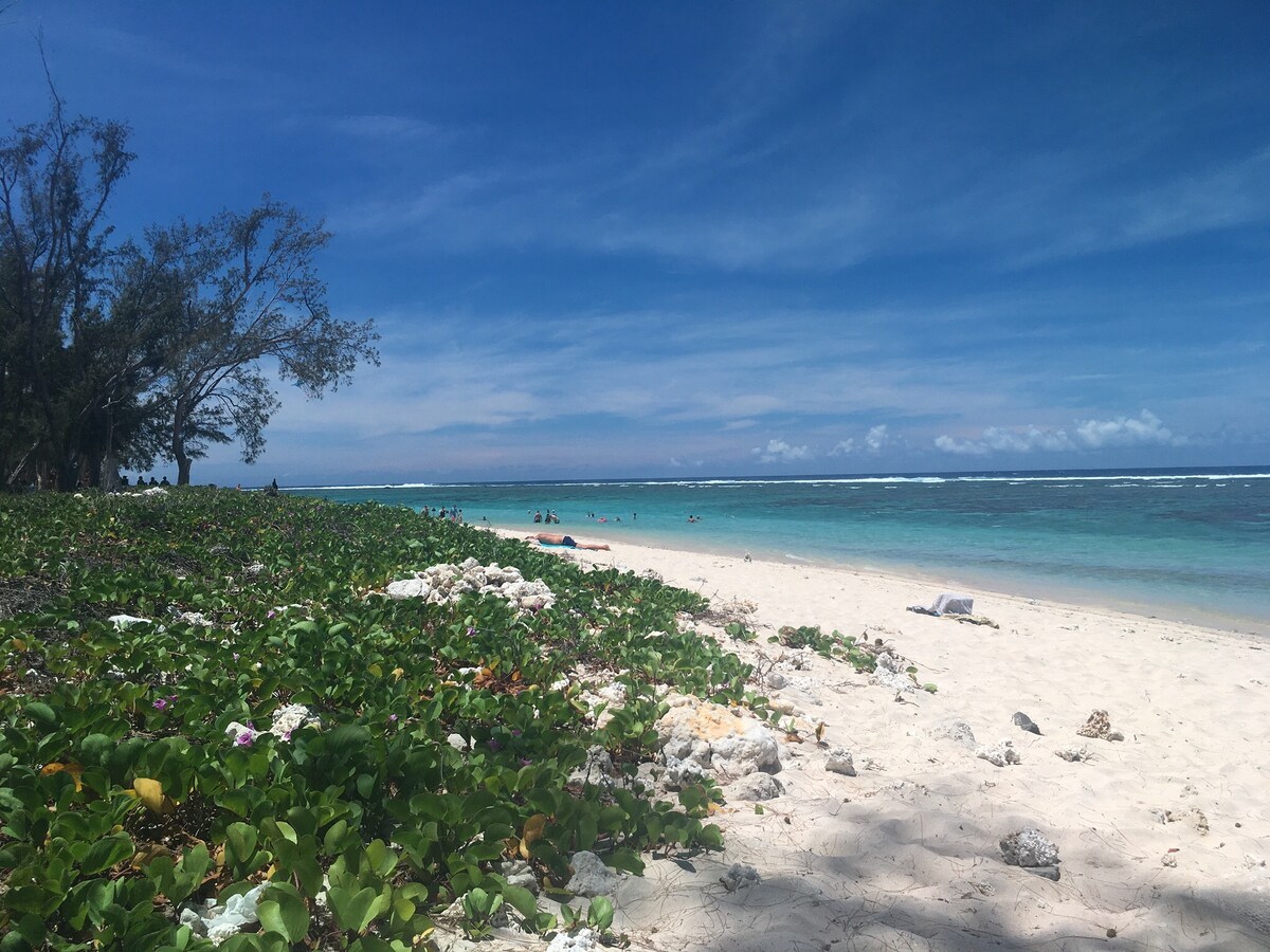 A sandy beach stretches along the coastline, lined with lush green vegetation. Crystal clear waters sparkle under a blue sky, dotted with a few fluffy clouds. Sunbathers can be seen in the distance, enjoying the tranquil seaside atmosphere.