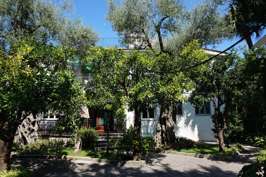 Ampio giardino (vista ingresso fronte villa)