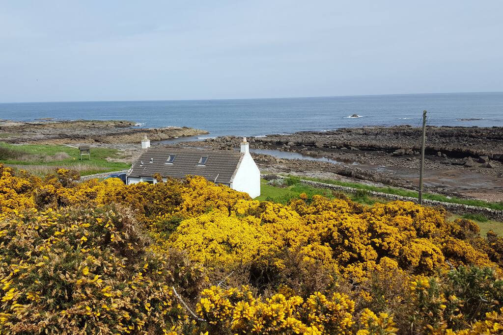 Overlooking cottage from Fife Ness Muir