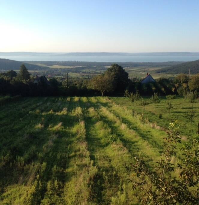 Die herrliche Aussicht am Morgen.