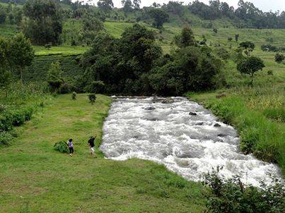 A flowing river meanders through a lush green landscape, bordered by trees and grasses. Two individuals can be seen near the water's edge, engaging in an activity. Gentle hills rise in the background, adding depth to the serene natural setting.