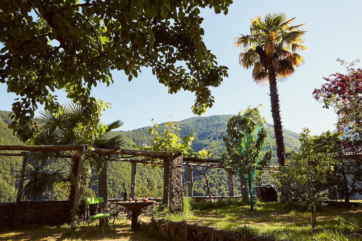 A lush garden is surrounded by green hills, featuring a palm tree and various shrubs. A table with chairs is positioned under the shade, offering a peaceful view of the valley. Bright sunlight enhances the verdant landscape, creating a serene outdoor setting.