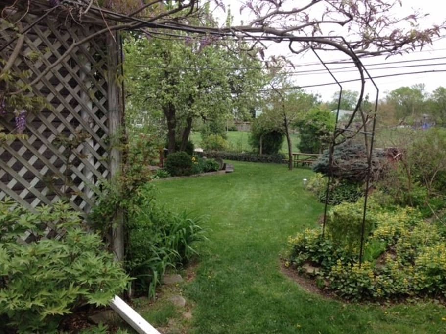 Backyard