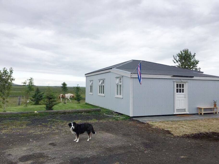 The front of Gamla húsið - with Tappi the dog (not included :-)