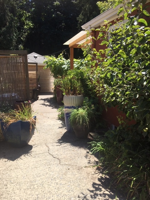 A narrow stone pathway is flanked by vibrant, potted plants, creating a lush, green corridor. The cottage exterior is partially visible on the right, while a wooden privacy screen and additional garden elements can be seen in the background.