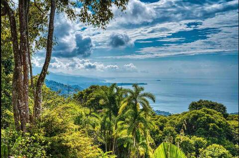 Spectacular Whale Tail Vista