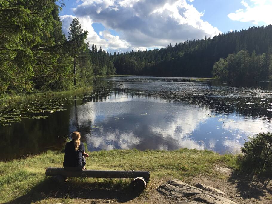 Flott sitteområde ved badeplassen 20 meter fra hytta.