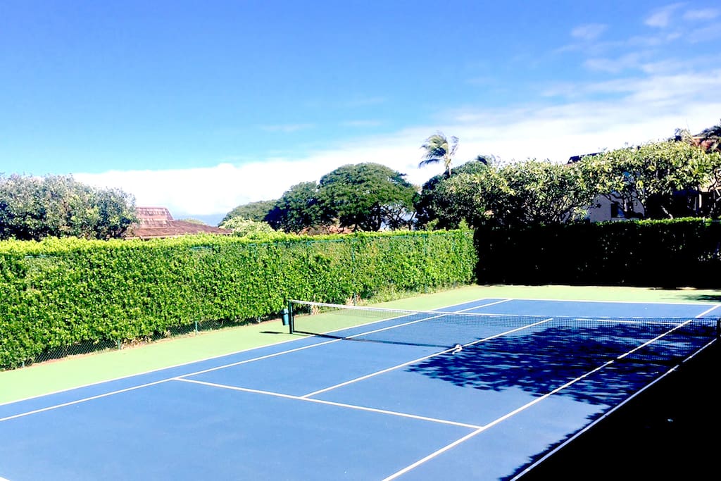 Full size Tennis Court