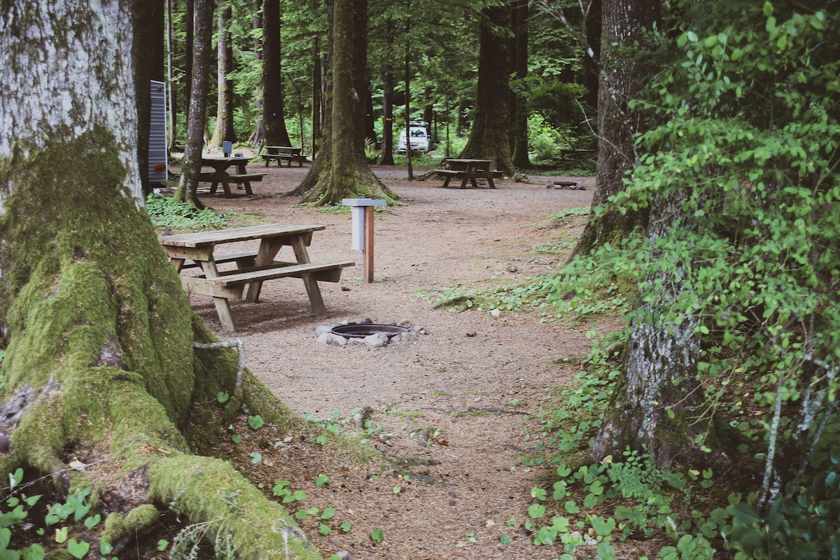 Campsites for Rent in Forks, Washington Camping Near Tofino? You'll Love Green