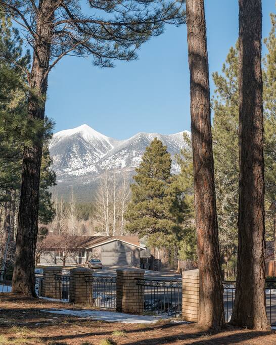 Gorgeous views of the San Francisco Peaks!