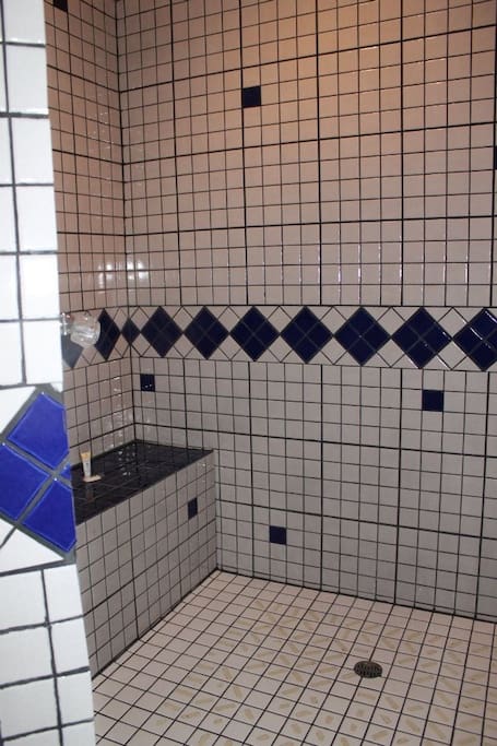 Spacious shower.