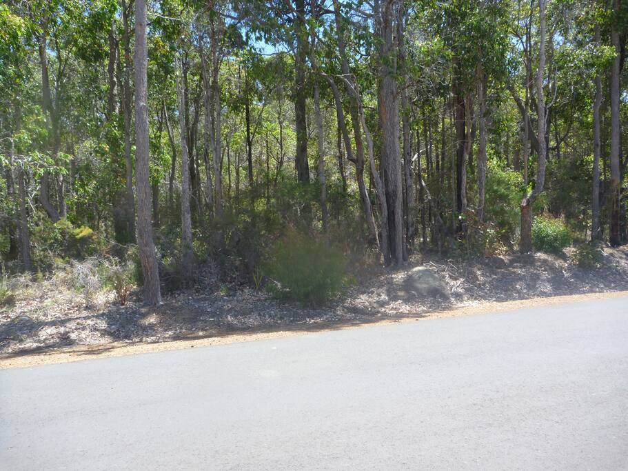 right across the road - a beautiful walking reserve