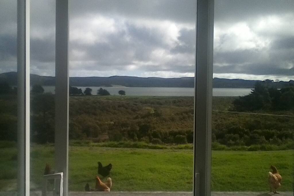 View from bedroom sliding door is open