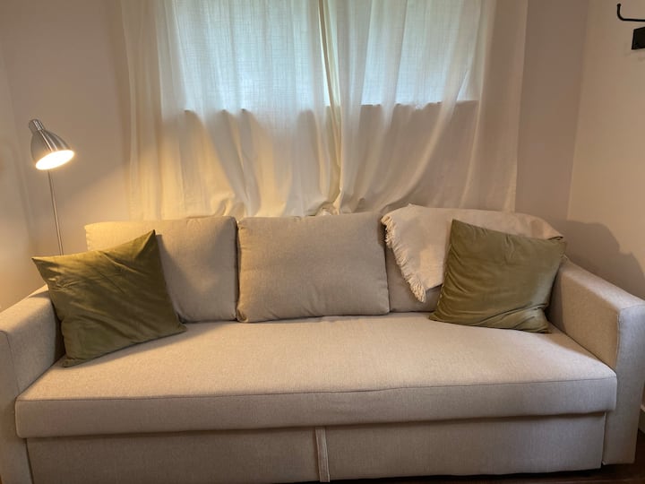 Modern Guest Suite In Chevy Chase, D.c - Washington D. C., DC
