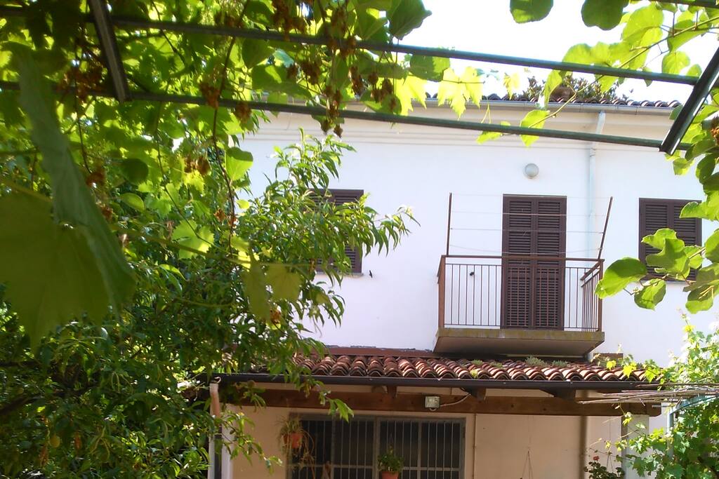 alloggio menta-lime