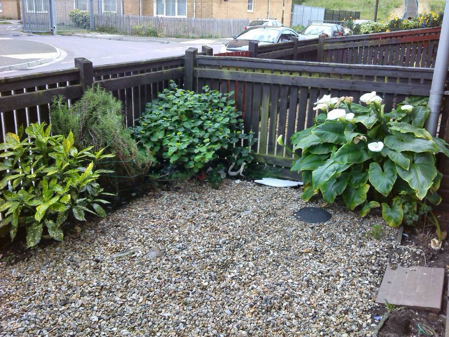 Front Garden