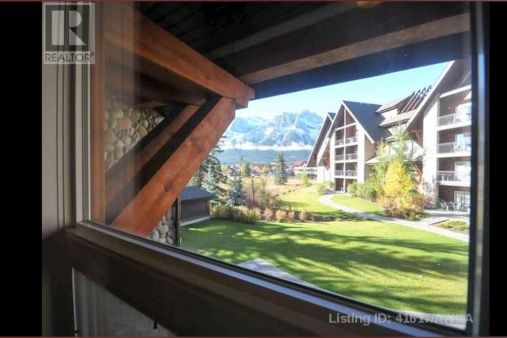 View from your room