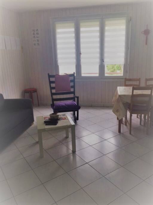 Salon + canapé-lit
