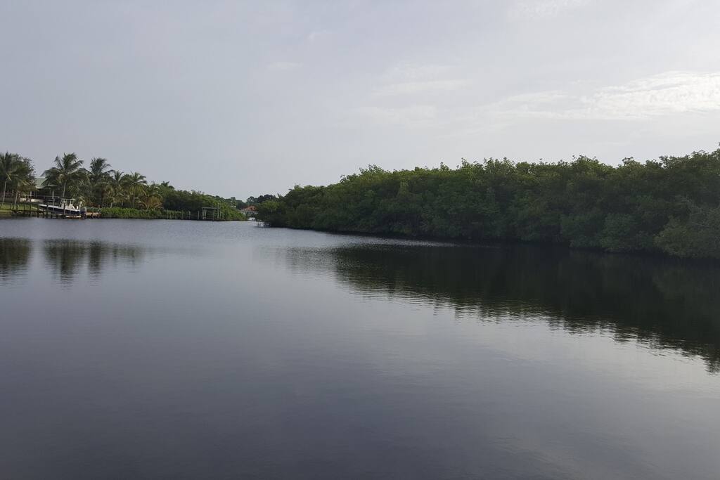 Waterfront views of Natural preserve and wildlife