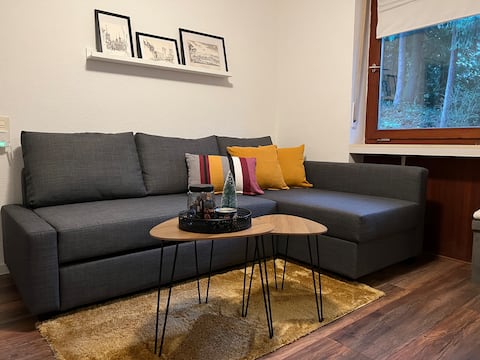 Successful Airbnb property: Vacation home on the Betzenberg in Kaiserslautern