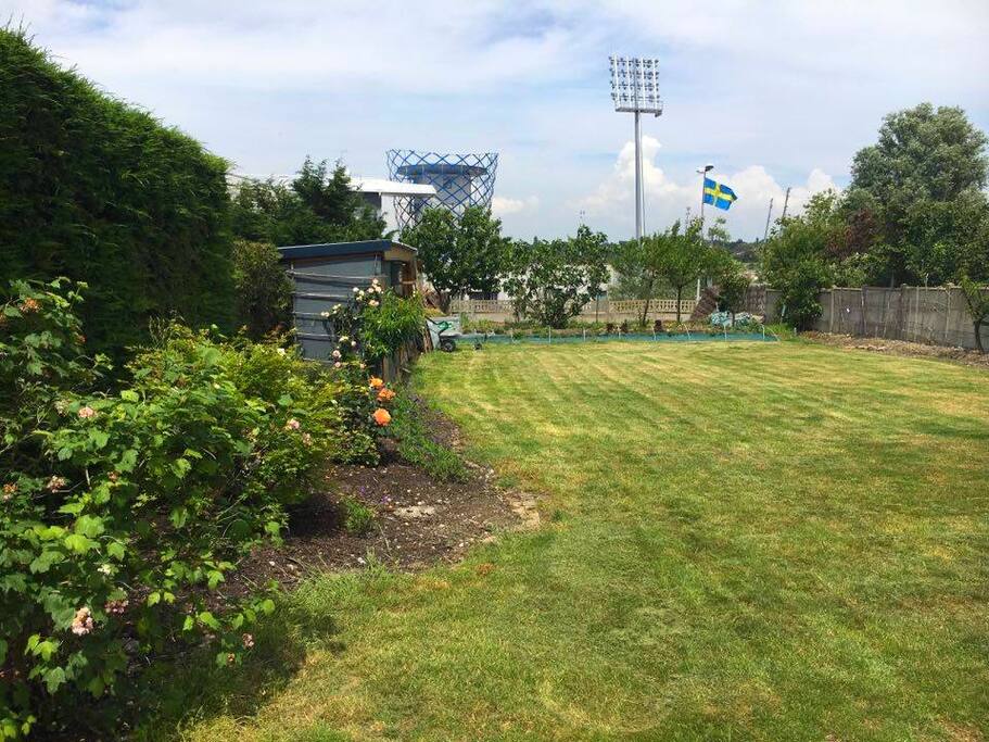 Jardin arrière